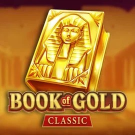 game logo by Playson on spinmachoo.com