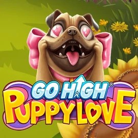 game logo by RubyPlay on spinmachoo.com