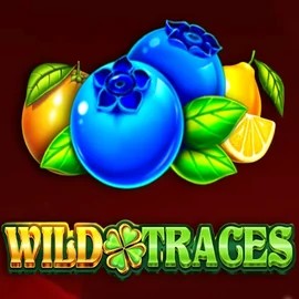 Enjoy Wild Traces by Amusnet Interactive – logo hosted on spinmachoo.com